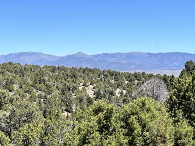 Nevada Residential Recreational Treed Mountain Land For Sale Ely, Nevada - image 8