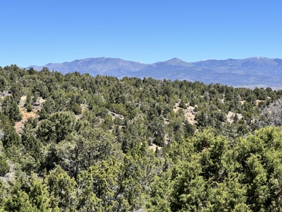 Nevada Residential Recreational Treed Mountain Land For Sale Ely, Nevada - image 9