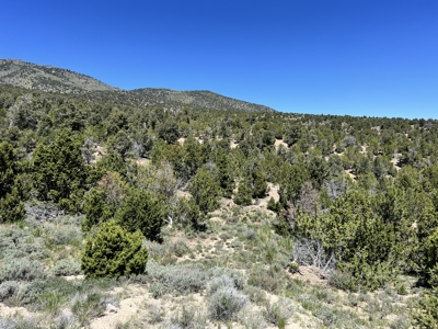 Nevada Residential Recreational Treed Mountain Land For Sale Ely, Nevada - image 6