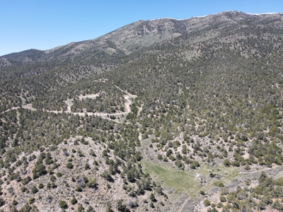 Nevada Residential Recreational Treed Mountain Land For Sale Ely, Nevada - image 1