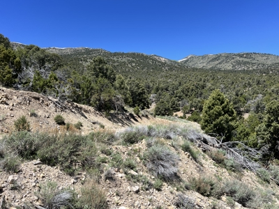 Nevada Residential Recreational Treed Mountain Land For Sale Ely, Nevada - image 4
