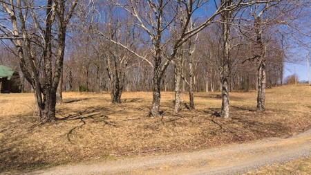 Building Lots for Sale in Meadows of Dan VA - image 4