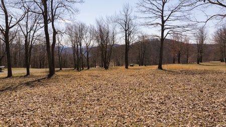Building Lots for Sale in Meadows of Dan VA - image 1