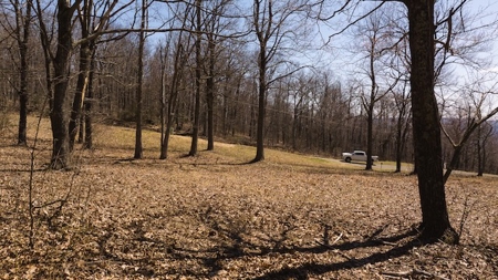 Building Lots for Sale in Meadows of Dan VA - image 11
