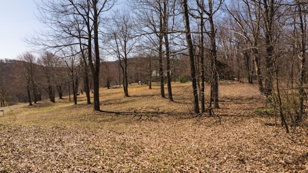 Building Lots for Sale in Meadows of Dan VA - image 5