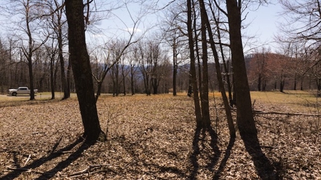 Building Lots for Sale in Meadows of Dan VA - image 12