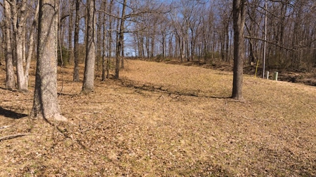 Building Lots for Sale in Meadows of Dan VA - image 2