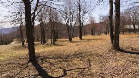 Building Lots for Sale in Meadows of Dan VA - image 9
