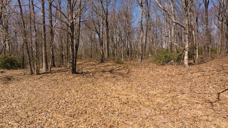 Building Lots for Sale in Meadows of Dan VA - image 10
