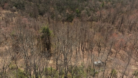 Wooded Lot for Sale in Meadows of Dan VA - image 4
