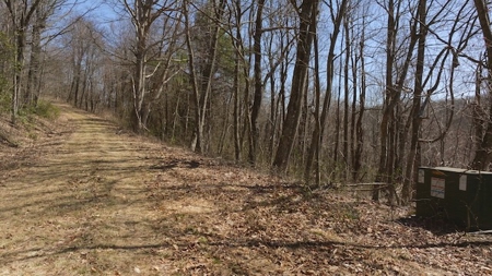 Wooded Lot for Sale in Meadows of Dan VA - image 8