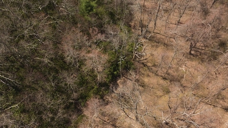 Wooded Lot for Sale in Meadows of Dan VA - image 6
