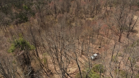 Wooded Lot for Sale in Meadows of Dan VA - image 3