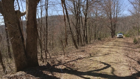 Wooded Lot for Sale in Meadows of Dan VA - image 9