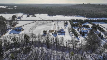 Country Home on 10 Acres in Iola, WI For Sale - image 7