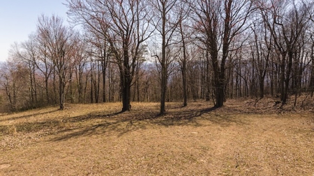 Land for Sale in Meadows of Dan VA - image 17