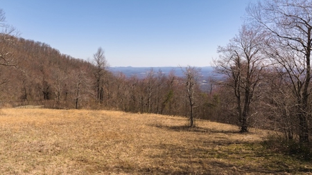 Land for Sale in Meadows of Dan VA - image 6