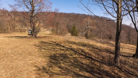 Land for Sale in Meadows of Dan VA - image 19