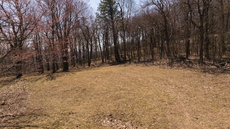 Land for Sale in Meadows of Dan VA - image 3
