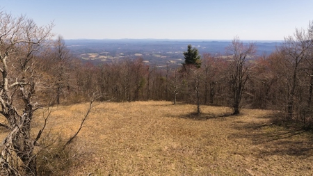Land for Sale in Meadows of Dan VA - image 1