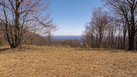 Land for Sale in Meadows of Dan VA - image 5