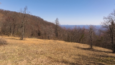 Land for Sale in Meadows of Dan VA - image 7