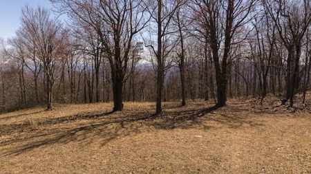 Land for Sale in Meadows of Dan VA - image 2