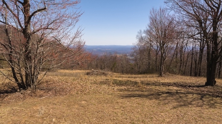 Land for Sale in Meadows of Dan VA - image 4