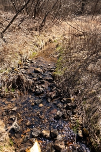 SW Wisconsin Cabin For Sale in the Driftless Region With Stream on 2.88 Acres - image 12