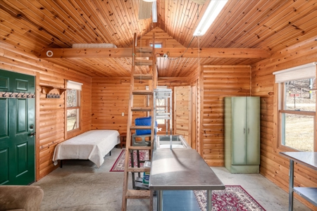 SW Wisconsin Cabin For Sale in the Driftless Region With Stream on 2.88 Acres - image 3