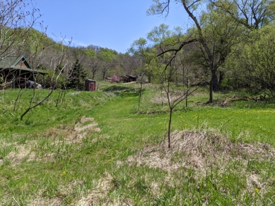 SW Wisconsin Cabin For Sale in the Driftless Region With Stream on 2.88 Acres - image 22