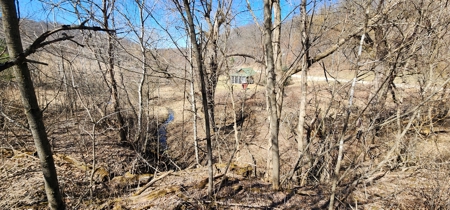 SW Wisconsin Cabin For Sale in the Driftless Region With Stream on 2.88 Acres - image 19