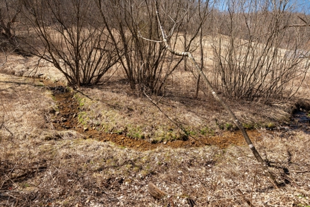 SW Wisconsin Cabin For Sale in the Driftless Region With Stream on 2.88 Acres - image 15