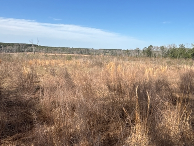East Texas Land For Sale, Live Water, Cass County - image 20
