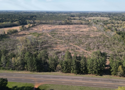 East Texas Land For Sale, Live Water, Cass County - image 17