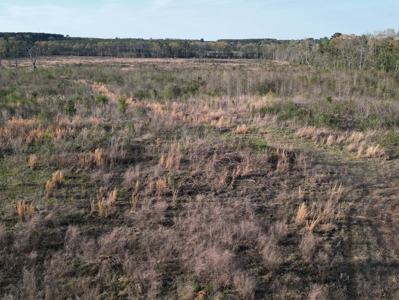 East Texas Land For Sale, Live Water, Cass County - image 7