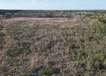 East Texas Land For Sale, Live Water, Cass County - image 16