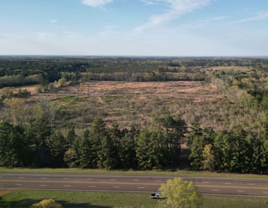 East Texas Land For Sale, Live Water, Cass County - image 4