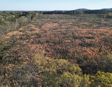 East Texas Land For Sale, Live Water, Cass County - image 9