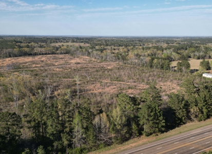 East Texas Land For Sale, Live Water, Cass County - image 11
