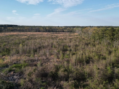East Texas Land For Sale, Live Water, Cass County - image 6