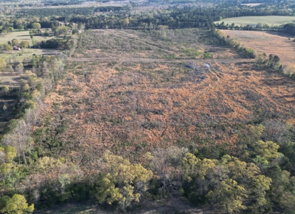 East Texas Land For Sale, Live Water, Cass County - image 18