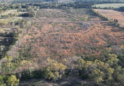 East Texas Land For Sale, Live Water, Cass County - image 12