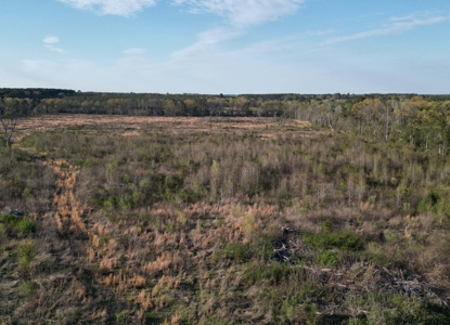 East Texas Land For Sale, Live Water, Cass County - image 5