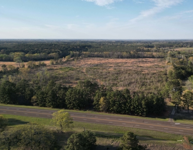 East Texas Land For Sale, Live Water, Cass County - image 3