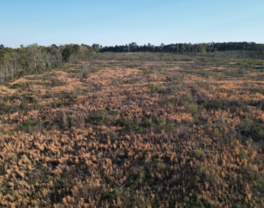 East Texas Land For Sale, Live Water, Cass County - image 10