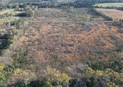 East Texas Land For Sale, Live Water, Cass County - image 13