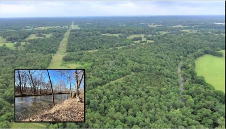 River-front recreation, hunting, and timberland for Sale in Thayer, MO., - image 1