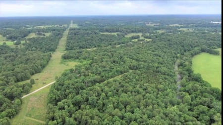 River-front recreation, hunting, and timberland for Sale in Thayer, MO., - image 3