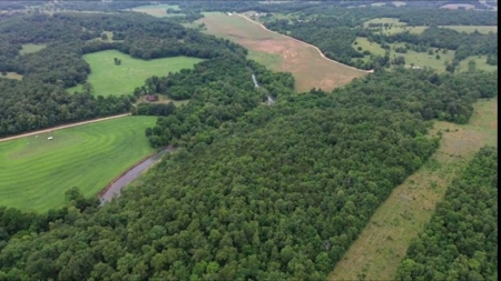 River-front recreation, hunting, and timberland for Sale in Thayer, MO., - image 4